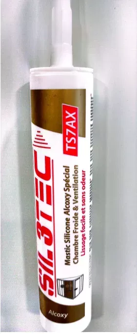 Nouveauté MASTIC TS7 AX